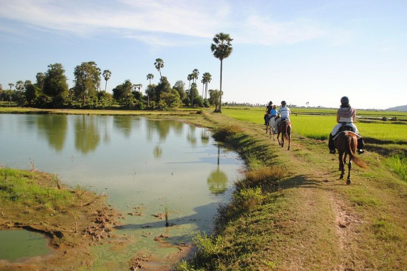 Siem Reap Happy Horse