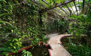 Garden-Kampung-Kamboja-Private-Villa-Siem-Reap